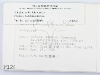 登錄號:F0001251藏品圖，第2張