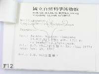 登錄號:F0001251藏品圖，第3張