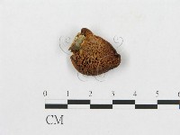 登錄號:F0001251藏品圖，第4張