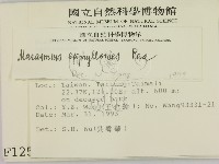 登錄號:F0001253藏品圖，第2張