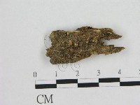 登錄號:F0001253藏品圖，第1張