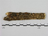 登錄號:F0001255藏品圖，第1張