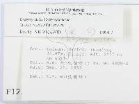 登錄號:F0001256藏品圖，第2張