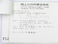 登錄號:F0001256藏品圖，第3張