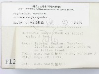 登錄號:F0001257藏品圖，第2張
