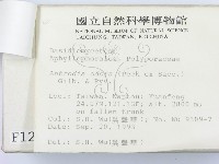 登錄號:F0001257藏品圖，第3張