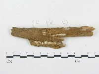 登錄號:F0001257藏品圖，第4張