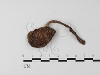 登錄號:F0001258藏品圖，第1張