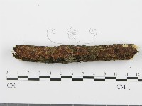 館號:F0001259藏品圖，第3張