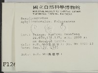 登錄號:F0001262藏品圖，第2張