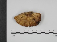 登錄號:F0001262藏品圖，第3張
