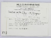 館號:F0001263藏品圖，第2張