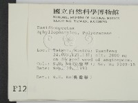 登錄號:F0001264藏品圖，第2張