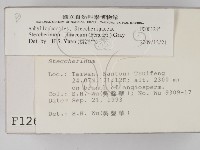 登錄號:F0001265藏品圖，第2張
