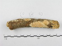 登錄號:F0001265藏品圖，第1張