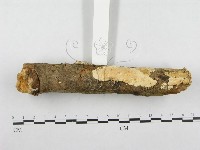 登錄號:F0001265藏品圖，第3張