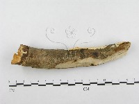 登錄號:F0001265藏品圖，第4張