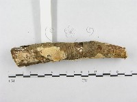 登錄號:F0001265藏品圖，第6張