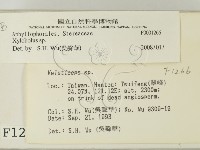 登錄號:F0001266藏品圖，第2張