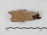 登錄號:F0001266藏品圖，第1張