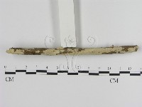 登錄號:F0001267藏品圖，第3張