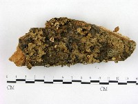 登錄號:F0001268藏品圖，第1張