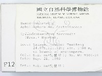 登錄號:F0001269藏品圖，第2張