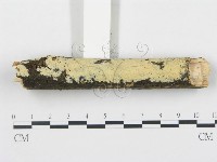 登錄號:F0001269藏品圖，第3張