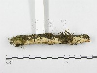 登錄號:F0001270藏品圖，第3張