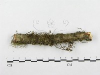 登錄號:F0001270藏品圖，第4張