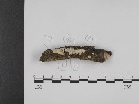 登錄號:F0001272藏品圖，第1張