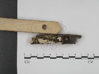 登錄號:F0001272藏品圖，第3張