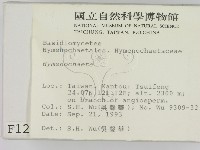 刺革菌屬藏品圖，第2張