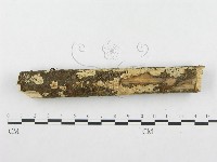 登錄號:F0001276藏品圖，第1張