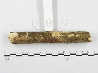 登錄號:F0001276藏品圖，第5張