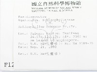 裂褶菌藏品圖，第2張