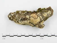 登錄號:F0001278藏品圖，第1張