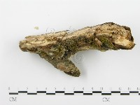 登錄號:F0001278藏品圖，第4張