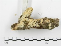 登錄號:F0001278藏品圖，第5張