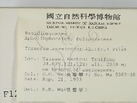 雲芝藏品圖，第2張