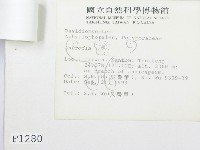 登錄號:F0001280藏品圖，第3張