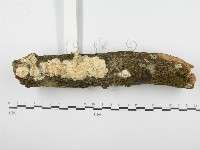 登錄號:F0001280藏品圖，第1張