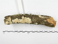 登錄號:F0001280藏品圖，第4張