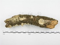 登錄號:F0001280藏品圖，第5張
