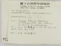 刺革菌屬藏品圖，第2張