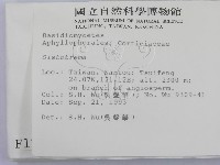 登錄號:F0001282藏品圖，第2張