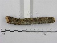 登錄號:F0001282藏品圖，第3張
