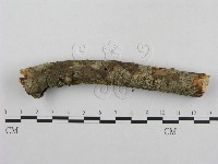 登錄號:F0001282藏品圖，第4張