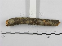 登錄號:F0001282藏品圖，第5張