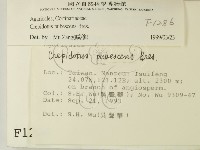 登錄號:F0001286藏品圖，第2張